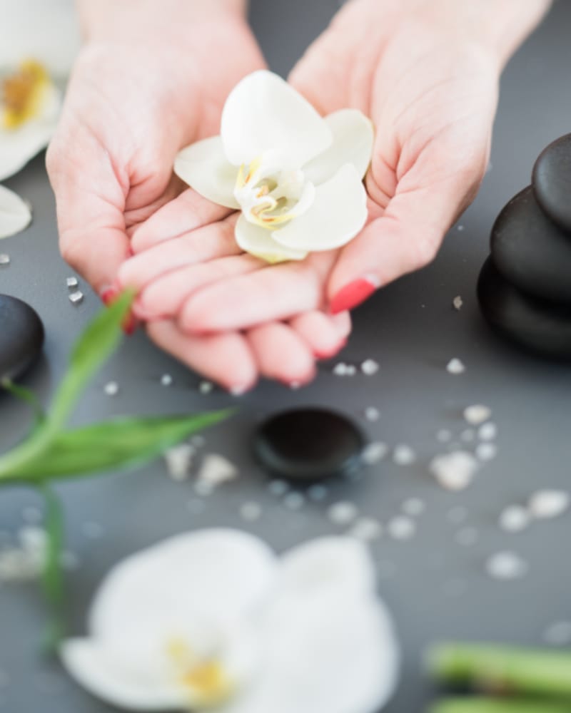 Manos con flor de orquídea