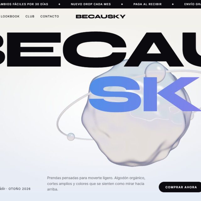 Vista previa de la plantilla web Becausky